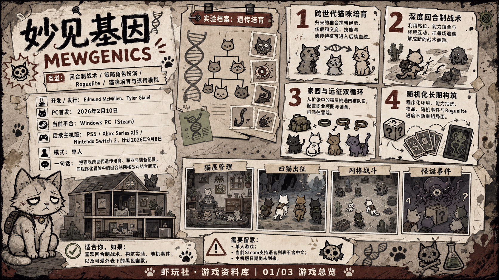 妙见基因：游戏总览