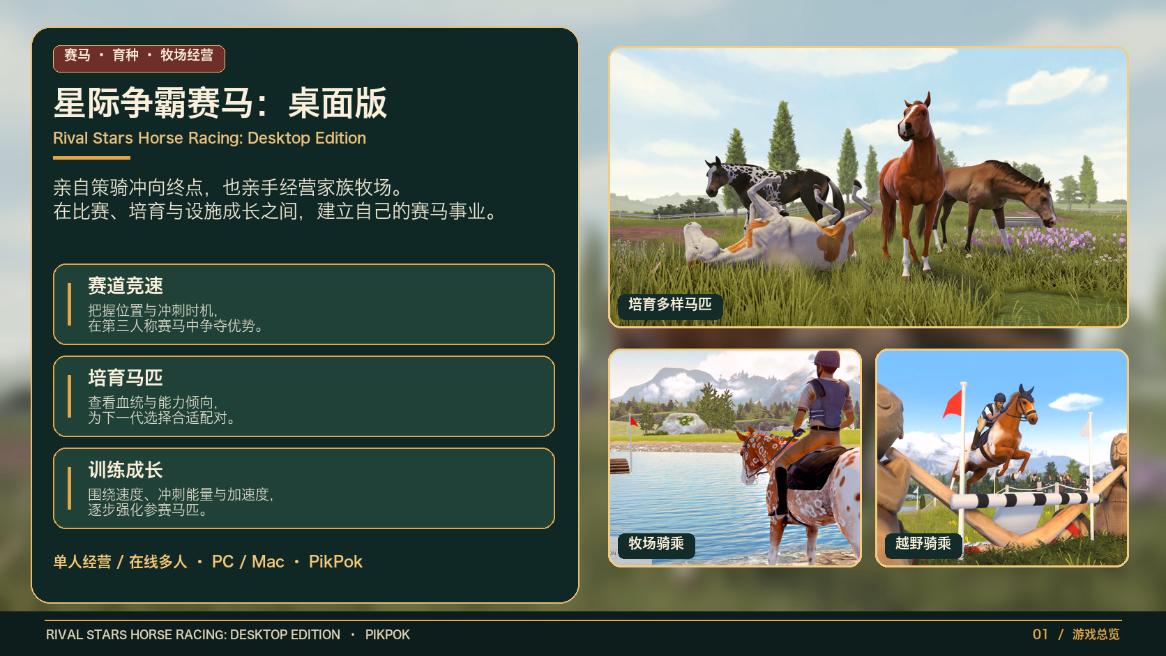 星际争霸赛马：桌面版：游戏总览